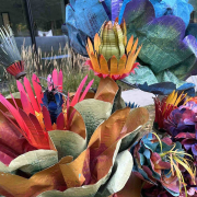 dina flowers horizontal